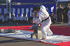 seki22 (151)_samu.gif